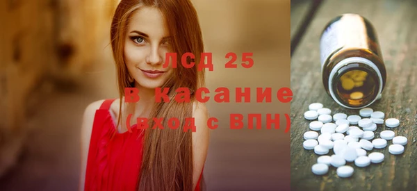 твердый Краснослободск