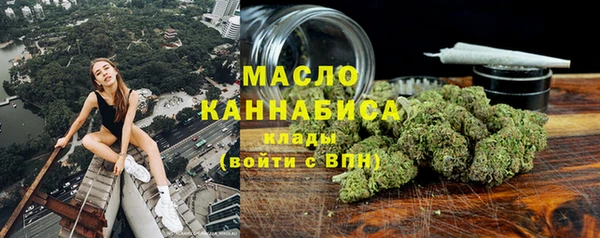 твердый Краснослободск