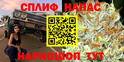 индика Аргун