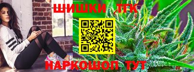индика Аргун