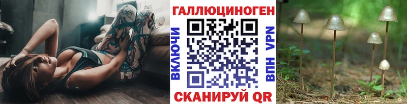 купить наркотик  Борисоглебск  Псилоцибиновые грибы GOLDEN TEACHER 