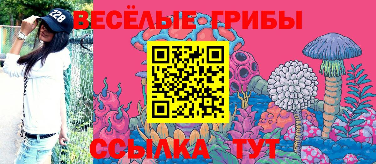 Псилоцибиновые грибы мухоморы Борисоглебск
